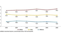 Yaşam Memnuniyeti Araştırması, 2025
