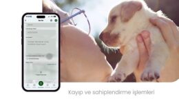 Çankaya Belediyesi’nin Dijital Yüzü ‘ÇankApp’ Yayında