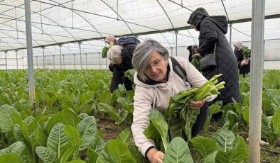 İzmit Saygınlar Kulübü 1 yaşında